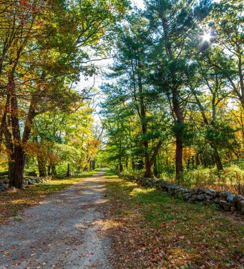 Battle Road in Concord, Massachusetts