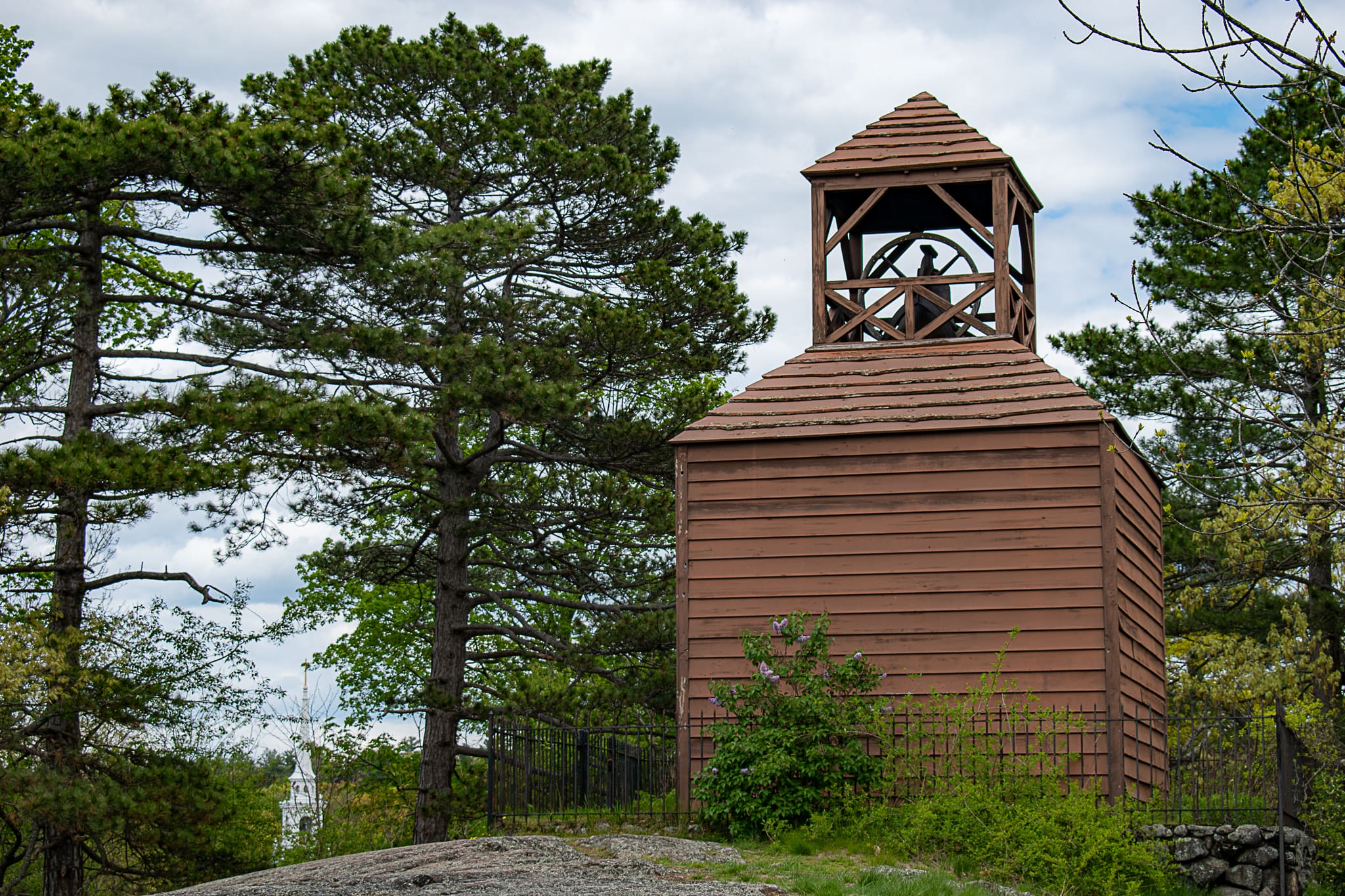 Which Lexington Tour Is Perfect For You? Title