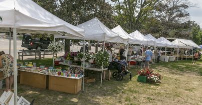 Summer Activities in Lexington Title