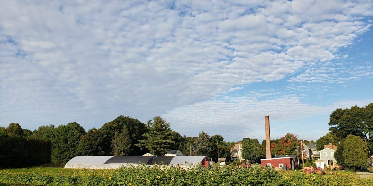 Image of Lexington Community Farm