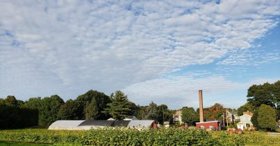 Celebrate the Final Moments of Summer in Lexington Title